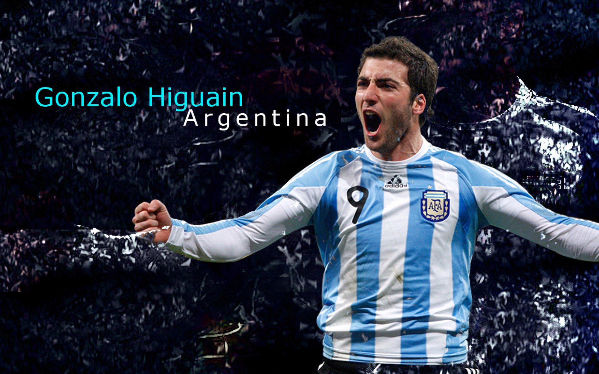 国王主帅布朗:我们渴望重返季后赛,布朗集锦